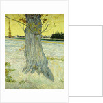 The Old Tree by Vincent Van Gogh