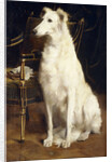 A Borzoi by a Chair by St. George Hare