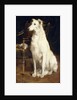 A Borzoi by a Chair by St. George Hare