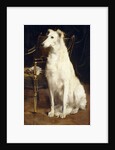 A Borzoi by a Chair by St. George Hare