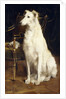 A Borzoi by a Chair by St. George Hare