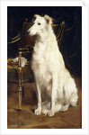 A Borzoi by a Chair by St. George Hare