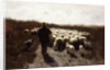 Return of the Flock by Anton Mauve