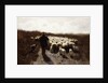 Return of the Flock by Anton Mauve