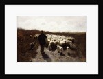 Return of the Flock by Anton Mauve