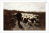 Return of the Flock by Anton Mauve