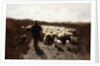 Return of the Flock by Anton Mauve
