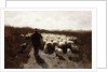Return of the Flock by Anton Mauve