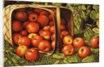 Basket of Apples by Levi Wells Prentice
