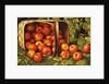 Basket of Apples by Levi Wells Prentice