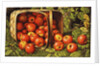 Basket of Apples by Levi Wells Prentice