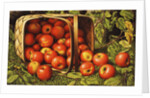 Basket of Apples by Levi Wells Prentice