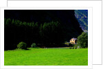 Myrdal. Biking down to Flam on the Sognefjord. by Anonymous