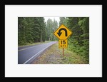 A signpost on a forest road warning of a U turn in the Cascade Mountains of Central Oregon by Corbis