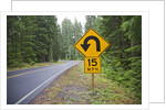 A signpost on a forest road warning of a U turn in the Cascade Mountains of Central Oregon by Anonymous