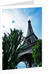 Paris by Anonymous