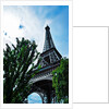 Paris by Anonymous