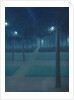 Nocturne in the Parc Royal, Brussels by William Degouve de Nuncques
