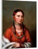 Hayne Hudjihini (Eagle of Delight) by Charles Bird King