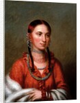Hayne Hudjihini (Eagle of Delight) by Charles Bird King