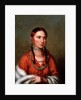Hayne Hudjihini (Eagle of Delight) by Charles Bird King
