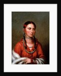 Hayne Hudjihini (Eagle of Delight) by Charles Bird King