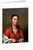 Hayne Hudjihini (Eagle of Delight) by Charles Bird King