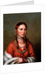 Hayne Hudjihini (Eagle of Delight) by Charles Bird King