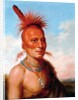 Sharitarish (Wicked Chief), Pawnee by Charles Bird King