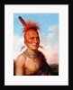 Sharitarish (Wicked Chief), Pawnee by Charles Bird King