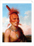 Sharitarish (Wicked Chief), Pawnee by Charles Bird King