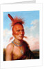 Sharitarish (Wicked Chief), Pawnee by Charles Bird King