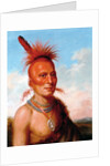 Sharitarish (Wicked Chief), Pawnee by Charles Bird King