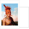 Sharitarish (Wicked Chief), Pawnee by Charles Bird King