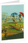 Ducklings in the Rain by Anonymous