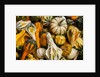 Pumpkins, gouds and winter squash for sale by Anonymous