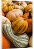 Pumpkins, gouds and winter squash for sale by Anonymous