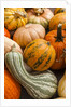 Pumpkins, gouds and winter squash for sale by Anonymous