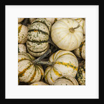Pumpkins, gouds and winter squash for sale by Anonymous