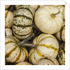 Pumpkins, gouds and winter squash for sale by Anonymous