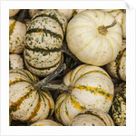 Pumpkins, gouds and winter squash for sale by Anonymous