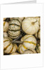 Pumpkins, gouds and winter squash for sale by Anonymous