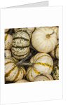 Pumpkins, gouds and winter squash for sale by Anonymous