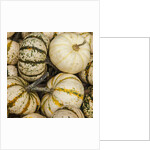 Pumpkins, gouds and winter squash for sale by Anonymous