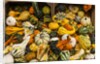 Pumpkins, gouds and winter squash for sale by Anonymous