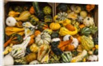 Pumpkins, gouds and winter squash for sale by Anonymous