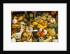 Pumpkins, gouds and winter squash for sale by Anonymous