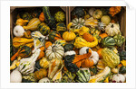 Pumpkins, gouds and winter squash for sale by Anonymous