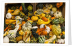 Pumpkins, gouds and winter squash for sale by Anonymous