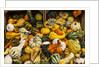 Pumpkins, gouds and winter squash for sale by Anonymous